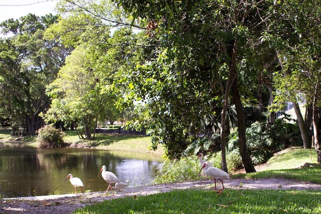 מלון פומפנו ביץ' Club Wyndham Palm-Aire מראה חיצוני תמונה