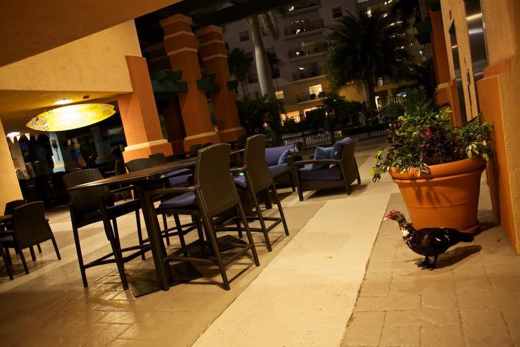 מלון פומפנו ביץ' Club Wyndham Palm-Aire מראה חיצוני תמונה